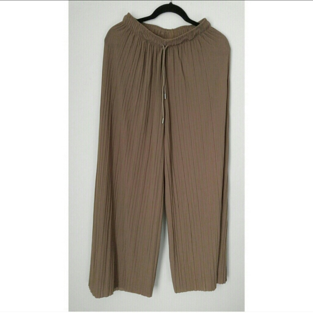 NWOT Accordian Pleated Wide Leg Pants - Picture 2 of 5